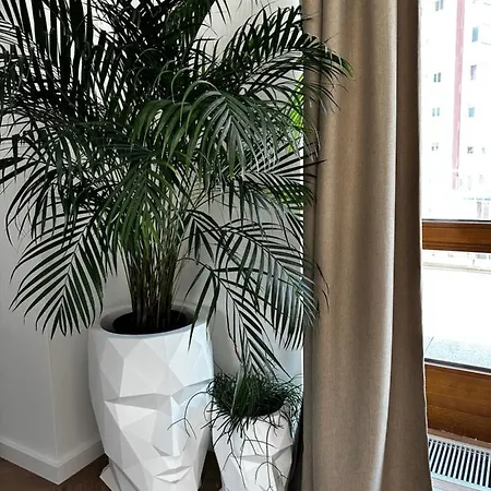Luxury Penthouse At The Historical Centre With Free Parking Apartment Bratislava